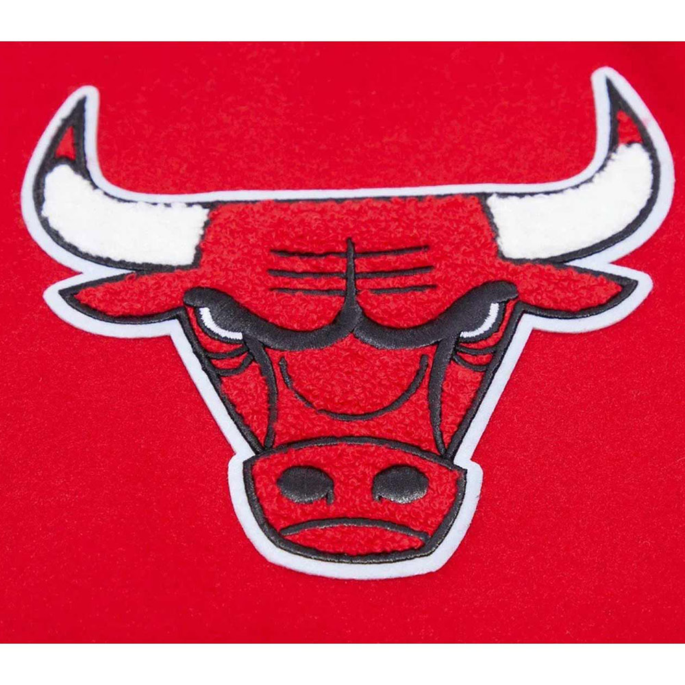 Classic Chicago Bulls Varsity Wool/Leather Jacket - Image 22